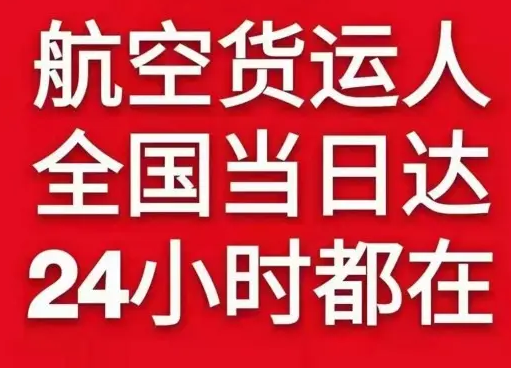 温州龙湾空运公司货物、航空货运:物流行业各岗位招聘