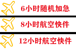 温州龙湾空运公司快递公司,专业空运当天件